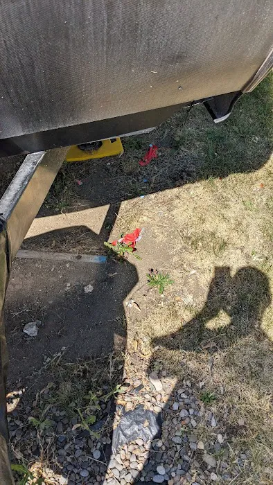 Green Acres Manufactured Home Community Picture 9