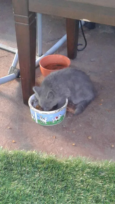 Kietzke Manor Mobile Home Park Picture 4