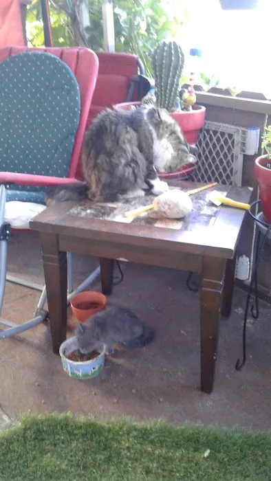 Kietzke Manor Mobile Home Park Picture 3