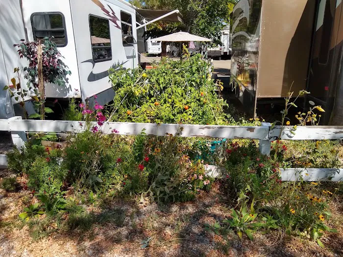 Rivers Edge RV Park Picture 2