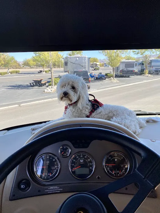 Grand Sierra RV Park Picture 1