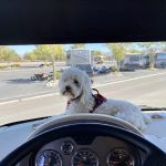 Grand Sierra RV Park