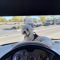 Grand Sierra RV Park ico