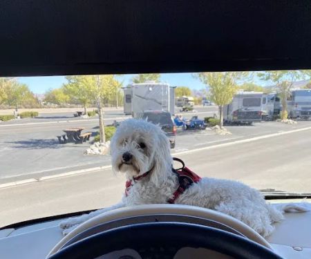 Grand Sierra RV Park