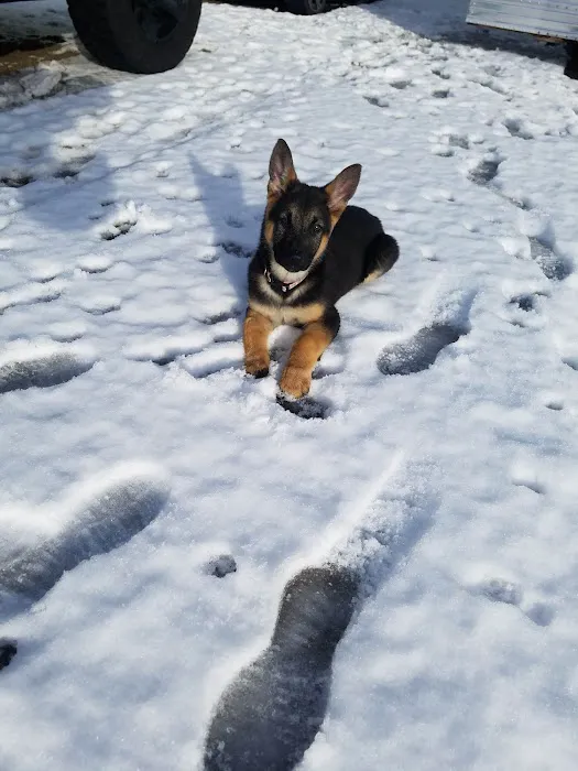 Sparks Mobile Home & RV Park Picture 1