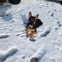 Sparks Mobile Home & RV Park ico