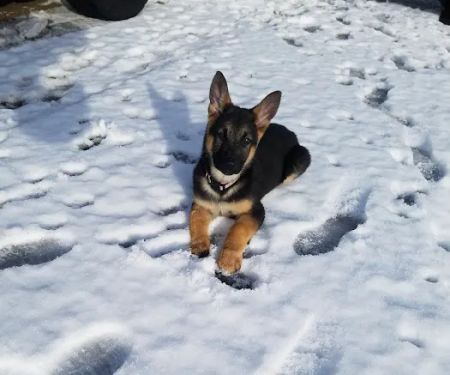 Sparks Mobile Home & RV Park