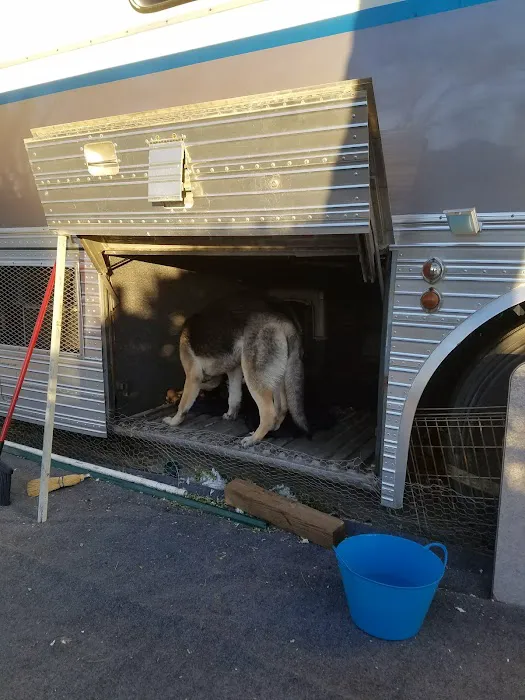 Sparks Mobile Home & RV Park Picture 8