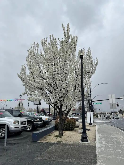 Mountain Vistas Mobile Home Park Picture 2