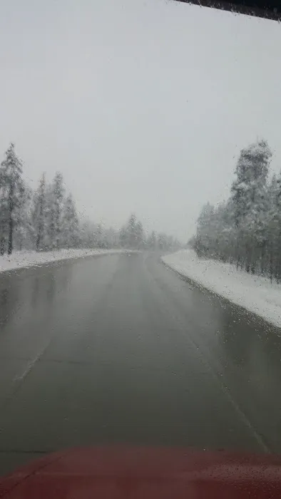 Reno RV Park Picture 5