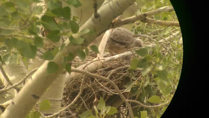 Reno RV Park Picture 3