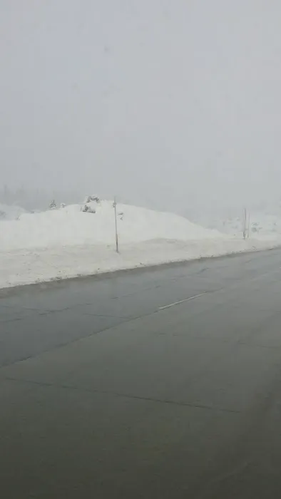 Reno RV Park Picture 2