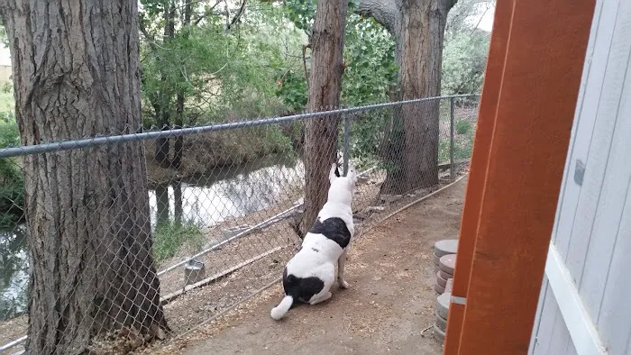 Oasis Mobile Estates Picture 4