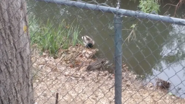 Oasis Mobile Estates Picture 3