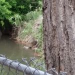 Oasis Mobile Estates