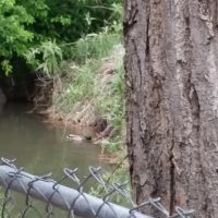 Oasis Mobile Estates ico