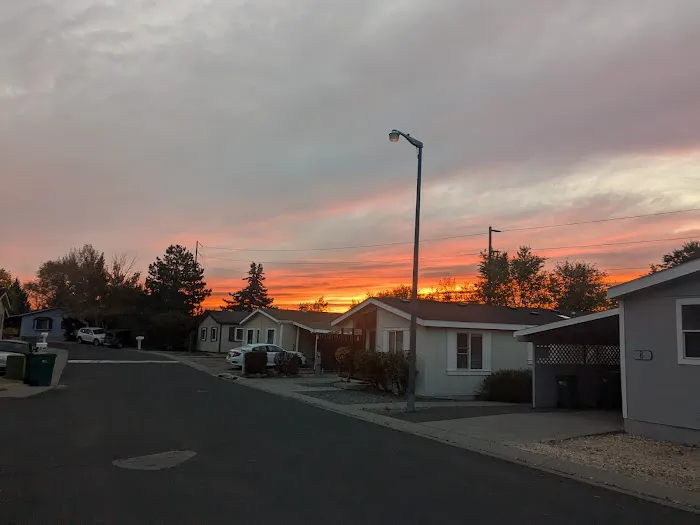 Sun Villa Estates Picture 2