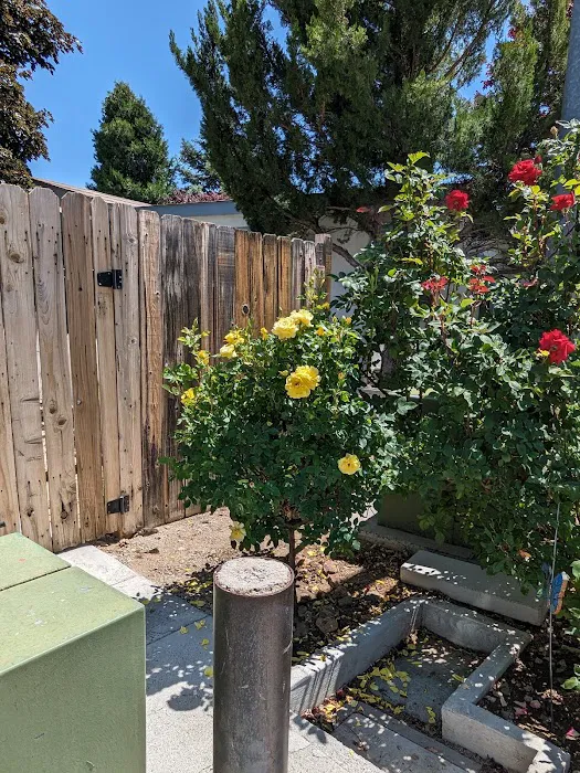 Sun Villa Estates Picture 8