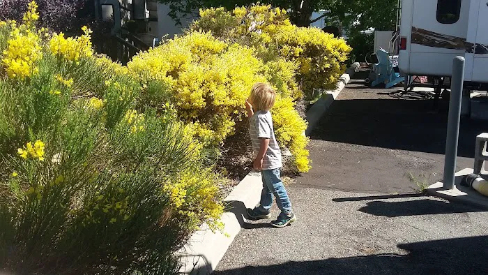 Keystone RV Park Picture 7