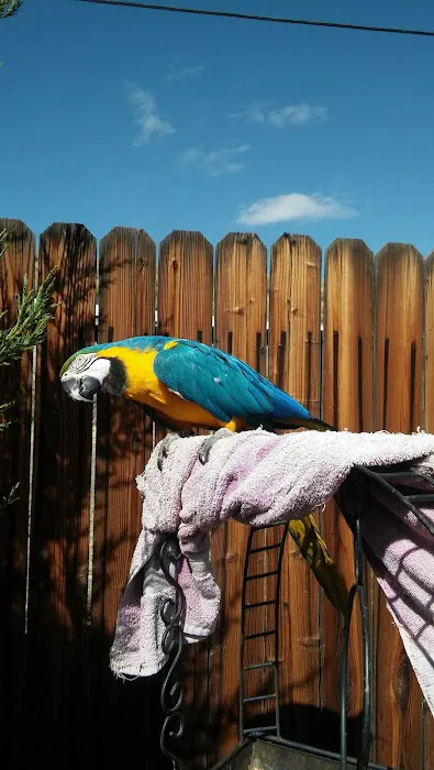 Keystone RV Park Picture 6