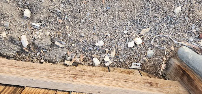 Reno Mobile Home & RV Park Picture 3