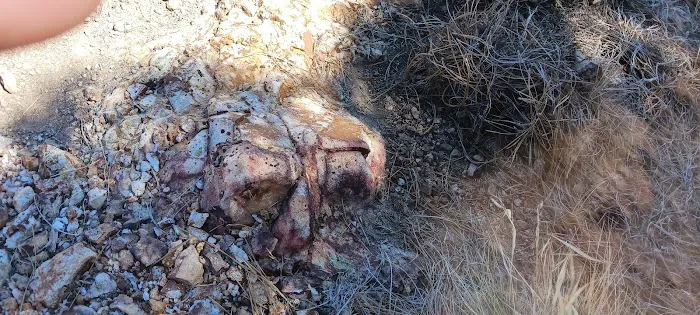 Sun Valley Mobile Home Park Picture 2