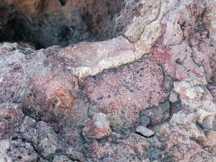 Sun Valley Mobile Home Park Picture 5