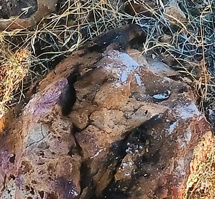 Sun Valley Mobile Home Park Picture 4