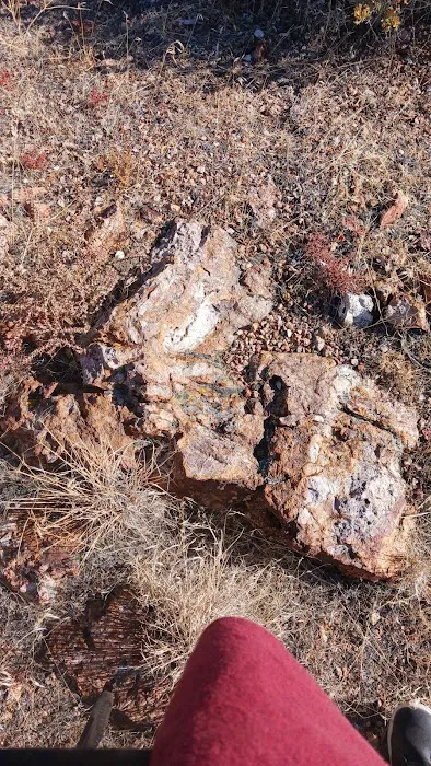 Sun Valley Mobile Home Park Picture 1