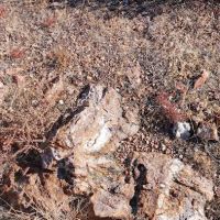 Sun Valley Mobile Home Park ico