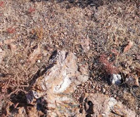 Sun Valley Mobile Home Park