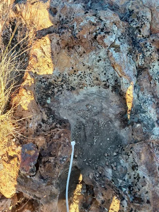 Sun Valley Mobile Home Park Picture 8