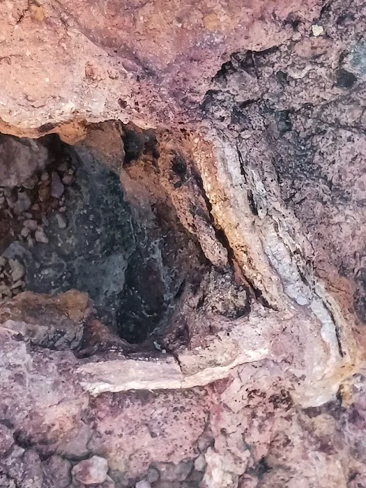 Sun Valley Mobile Home Park Picture 10