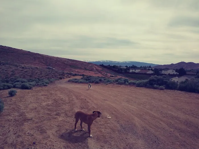 Sixth Avenue Court Picture 4