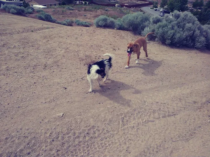 Sixth Avenue Court Picture 7