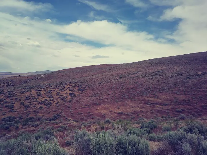 Sixth Avenue Court Picture 3