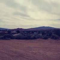 Sixth Avenue Court ico