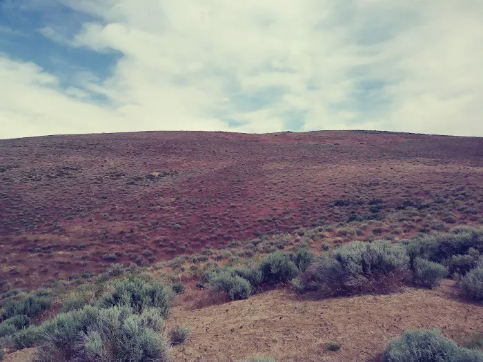 Sixth Avenue Court Picture 5