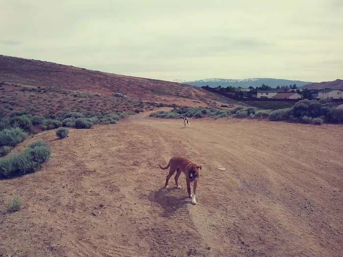 Sixth Avenue Court Picture 6