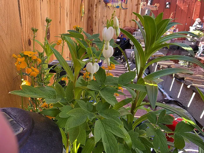 Reno Sierra Mobile Estates (North) Picture 1