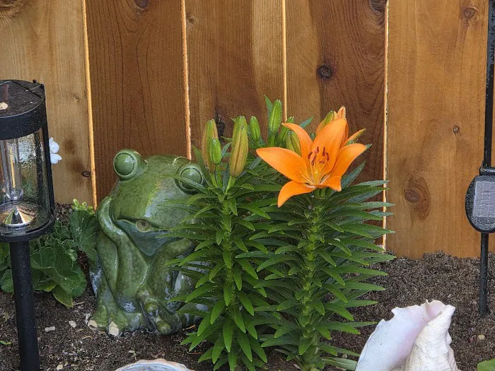 Reno Sierra Mobile Estates (South) Picture 3