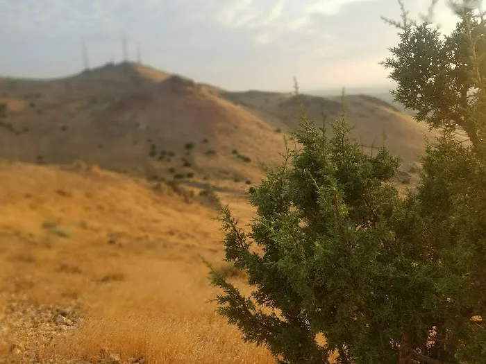 Bonanza Terrace RV Park Picture 3