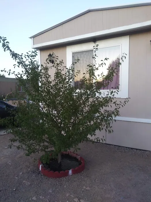 Sierra Shadows Mobile Home Picture 9