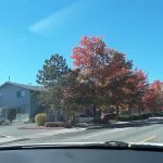 Sierra Shadows Mobile Home