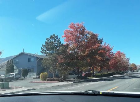 Sierra Shadows Mobile Home