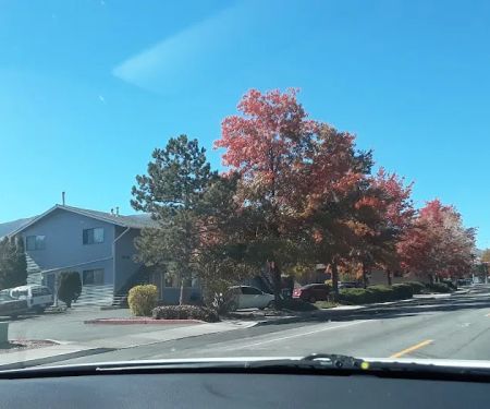 Sierra Shadows Mobile Home