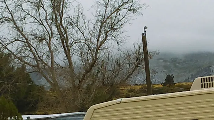 River Belle Trailer Park Picture 10