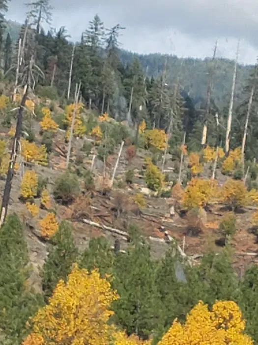 Meadow Edge Park Picture 1