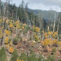 Meadow Edge Park ico