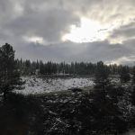 Truckee River RV Park